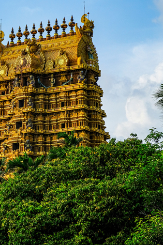 jaffna tour