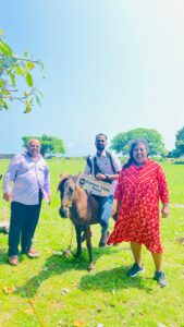 Delft Island Tour - exploring historic sites and wild horses of the island