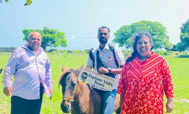 Delft Island Tour - exploring historic sites and wild horses of the island