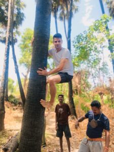 Toddy Tour in Jaffna - traditional palm wine tasting experience