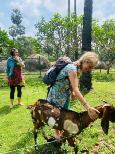 Kantharodai_jaffna_kantharodai_ruins