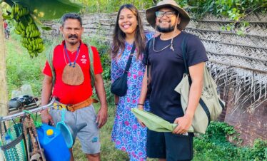 Palmyra_palm_tody_wine_jaffna_srilanka