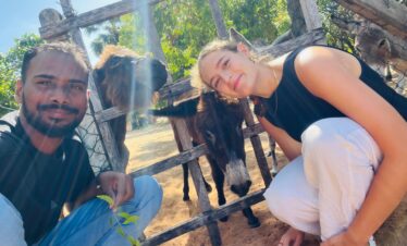 mannar_donkey_srilanka_tourpackageinmannar_mannartour_touristattractionmannar