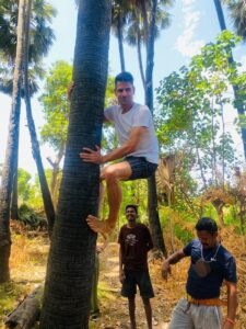 Toddy_Tour_palmyratoddy_palmtoddy_toddysrilanka_kallu_Palmwine_Palm_winePalm Toddy(wine) Jaffna