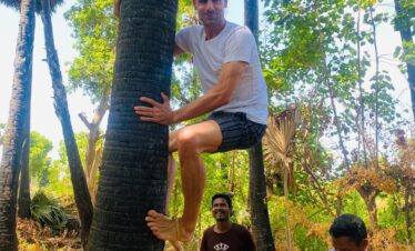 Toddy_Tour_palmyratoddy_palmtoddy_toddysrilanka_kallu_Palmwine_Palm_winePalm Toddy(wine) Jaffna