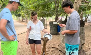 feeding deer Trinco male -deer in srilanka