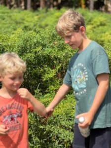 srilanka_garden_tour_jaffna_vegitable_explore_arun