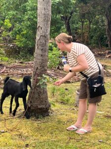 village tour sri lanka jaffna toddy