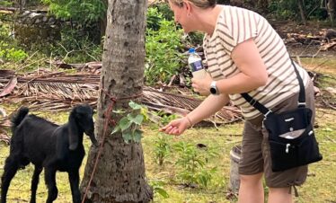 village tour sri lanka jaffna toddy