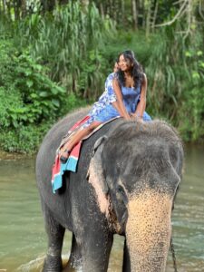 Pinnawala Elephant Safari - observing elephants in their natural habitat in Sri Lanka exploreyarl tour uide