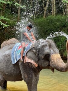 Pinnawala Elephant Safari - observing elephants in their natural habitat in Sri Lanka exploreyarl