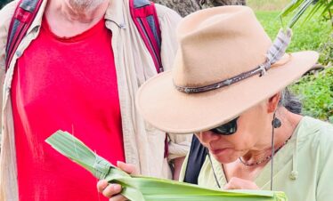 Jaffna_toddy_palmtoddy_palmyra wine