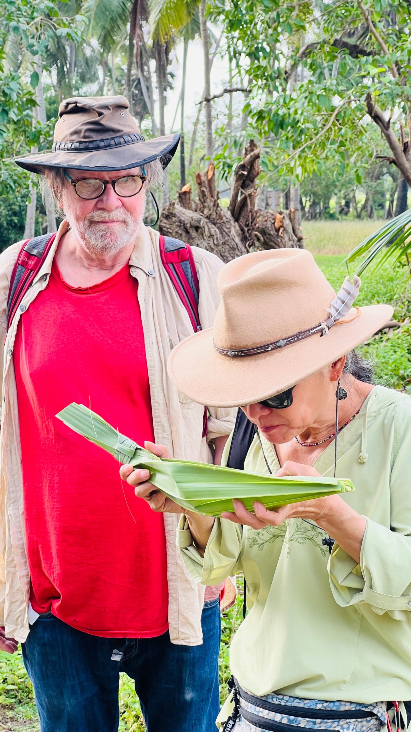 Jaffna_toddy_palmtoddy_palmyra wine