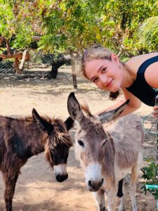 Donkey Farm Mannar - observing donkeys and local farm life in northern Sri Lanka donkey clinic sri lanka exploreyarl