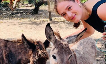 Donkey Farm Mannar - observing donkeys and local farm life in northern Sri Lanka donkey clinic sri lanka exploreyarl